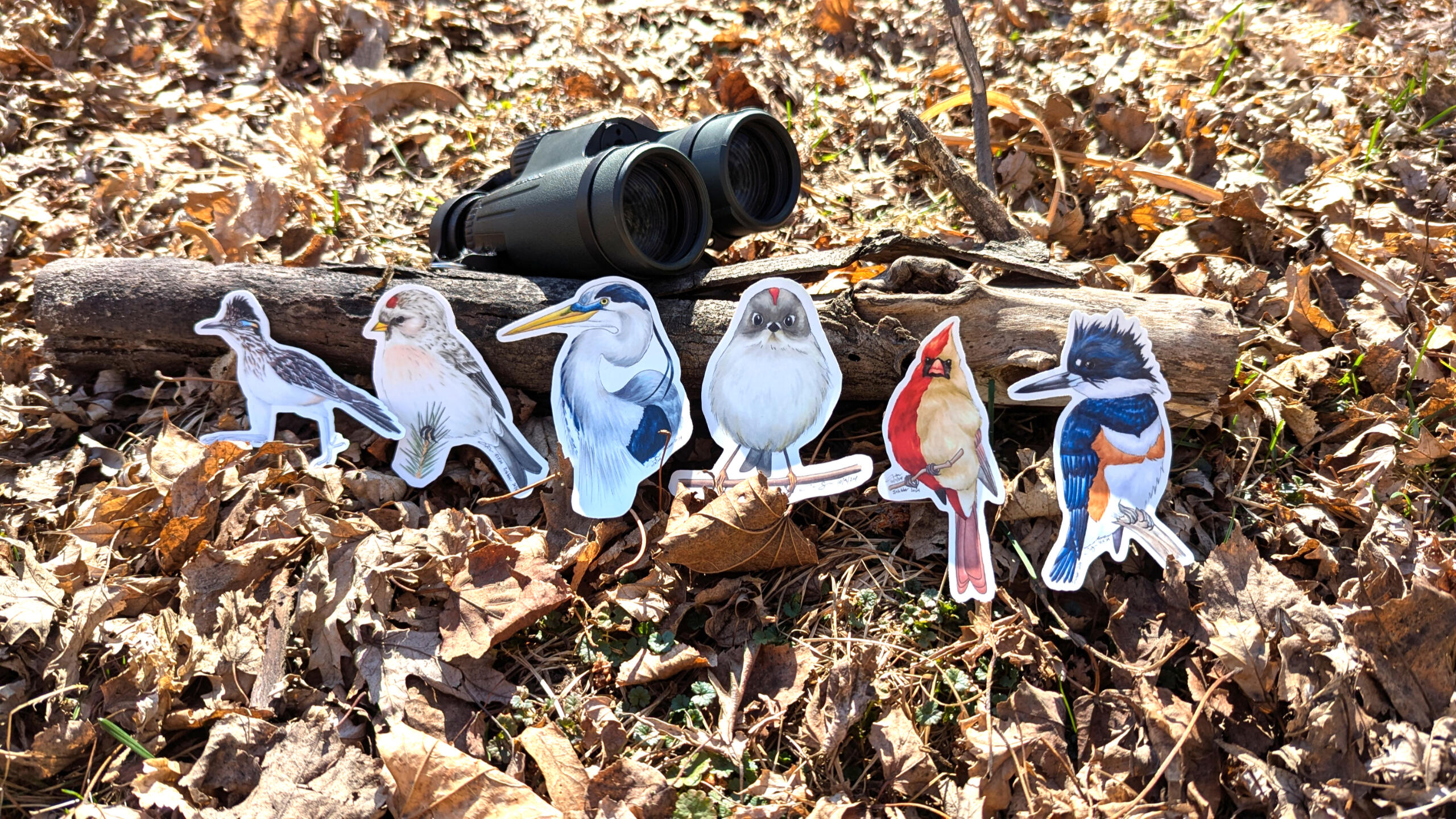 Bird stickers displayed across a log with binoculars and dried leaves in the background
