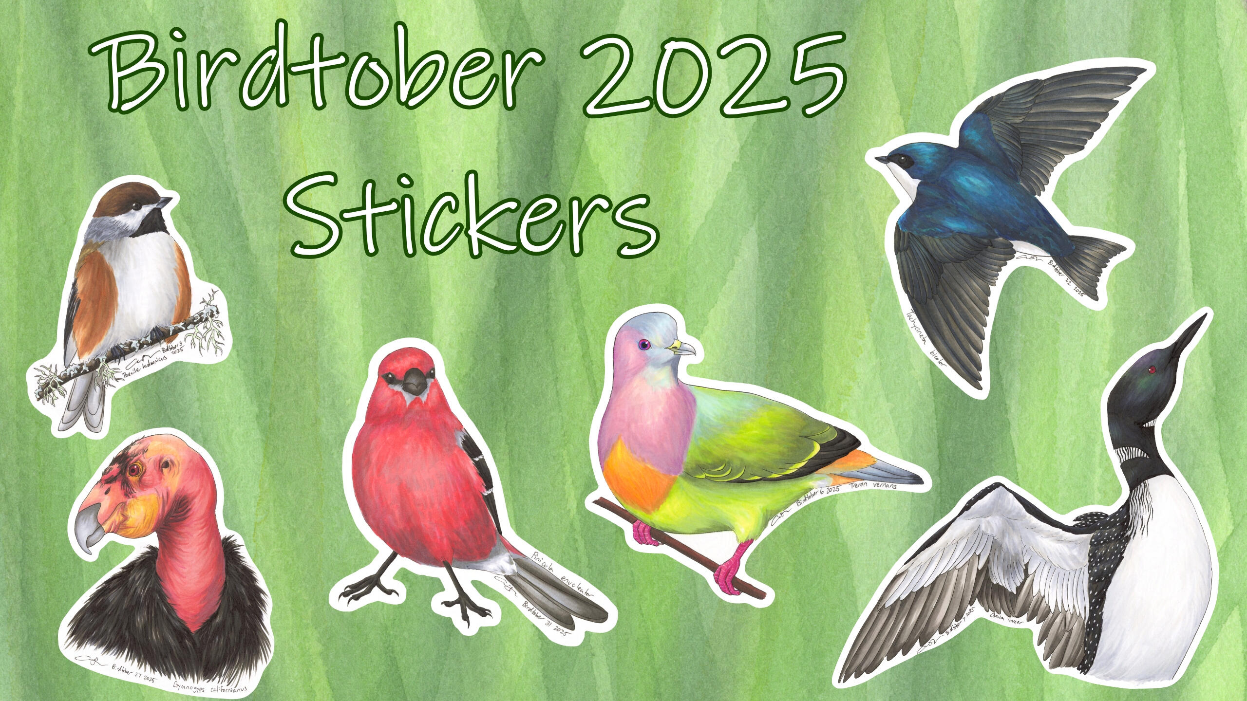 Bird stickers displayed across a log with binoculars and dried leaves in the background
